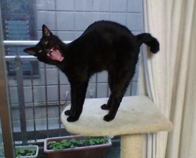 Прикрепленное изображение: 111.jpg